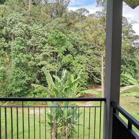 Gopeng Sementra Hot Spring Nature Resort מראה חיצוני תמונה