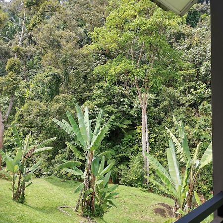 Gopeng Sementra Hot Spring Nature Resort מראה חיצוני תמונה